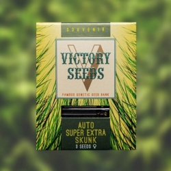 Auto Super Extra Skunk | Victory Seeds