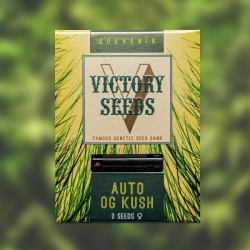 Auto OG Kush | Victory Seeds
