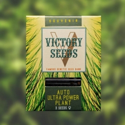 Auto Ultra Power Plant | Victory Seeds