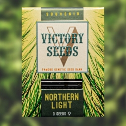 Northern Light | Victory Seeds