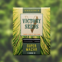 Super Mazar | Victory Seeds
