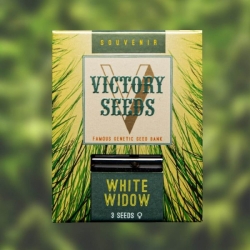 White Widow | Victory Seeds